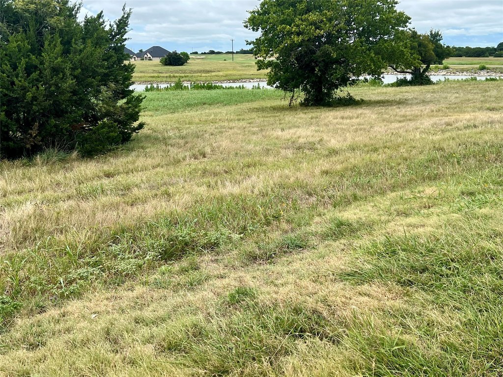 Picture 21