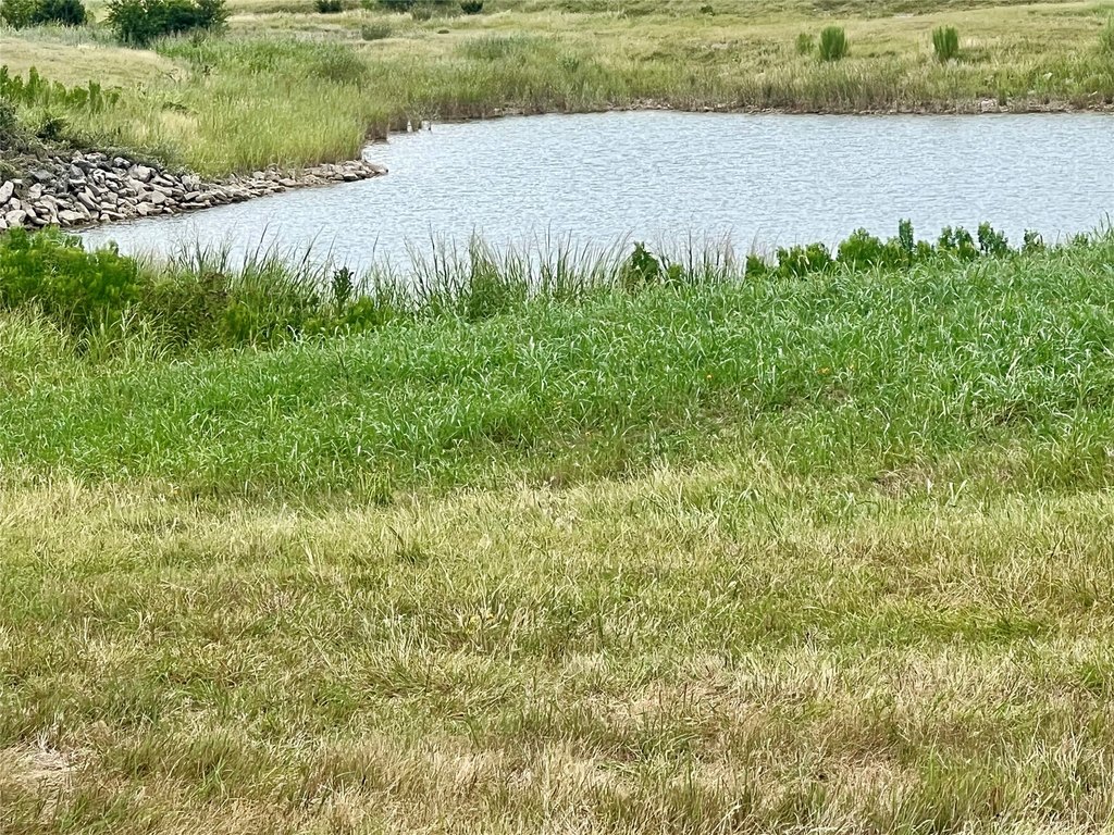 Picture 23