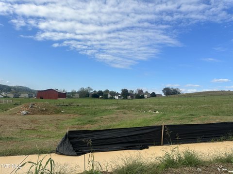 Residential Land in Johnson City