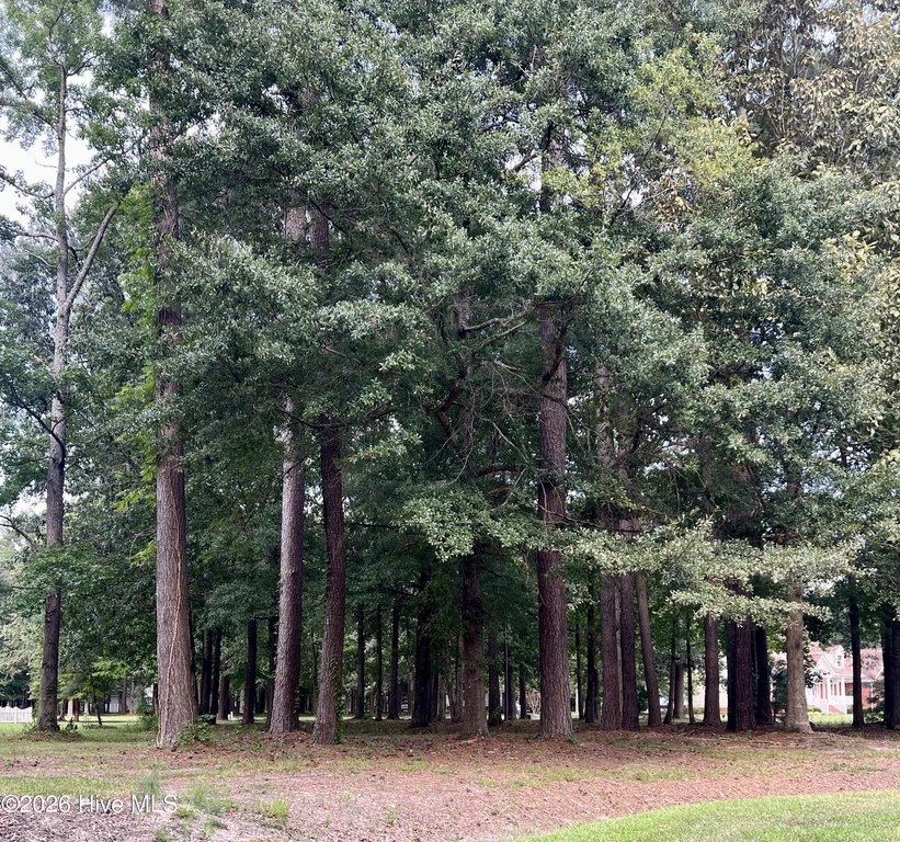 Picture 4