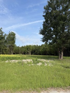 LAND, Georgetown, SC