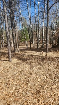 Lake Arrowhead Land For Sale