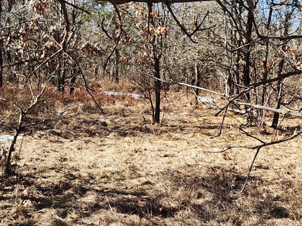 Picture 7