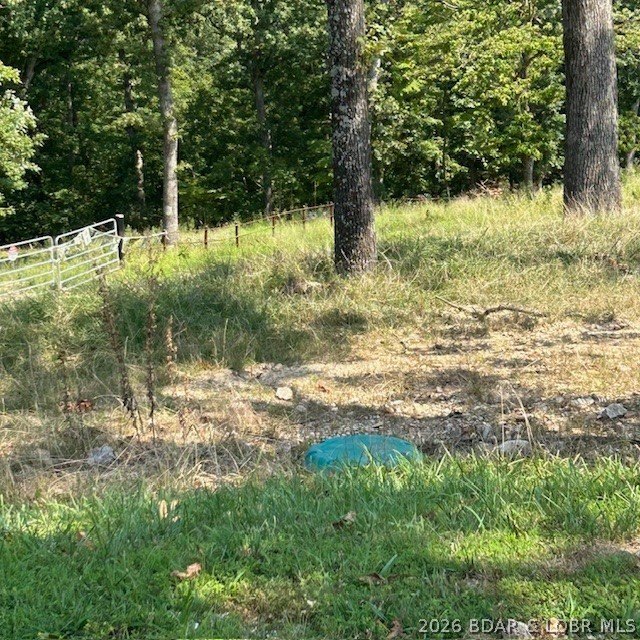Picture 15