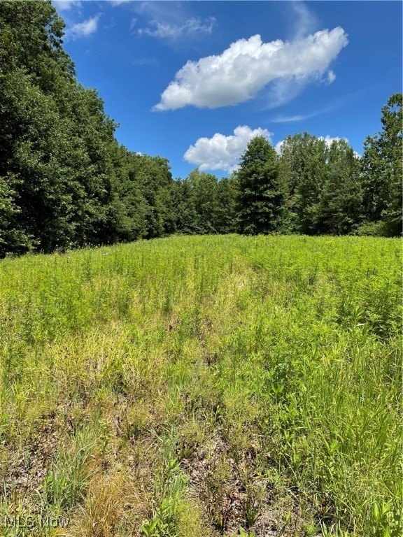 66.44 Acres Land For Sale