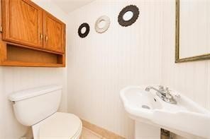 Picture 9