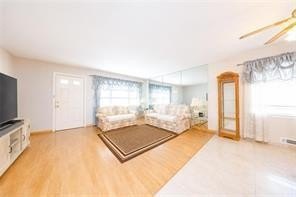 Picture 5