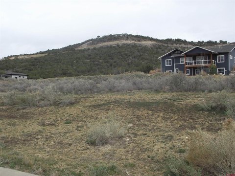 LAND, Cedaredge, CO