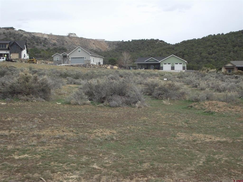 Picture 10