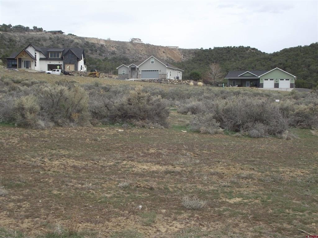 Picture 12