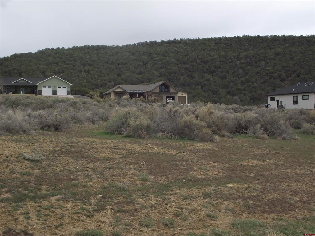 Picture 8
