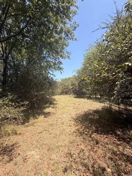 Vacant Land, Hope, AR