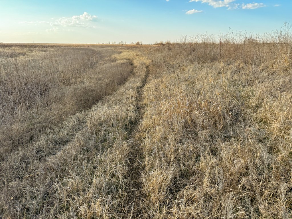 Picture 28