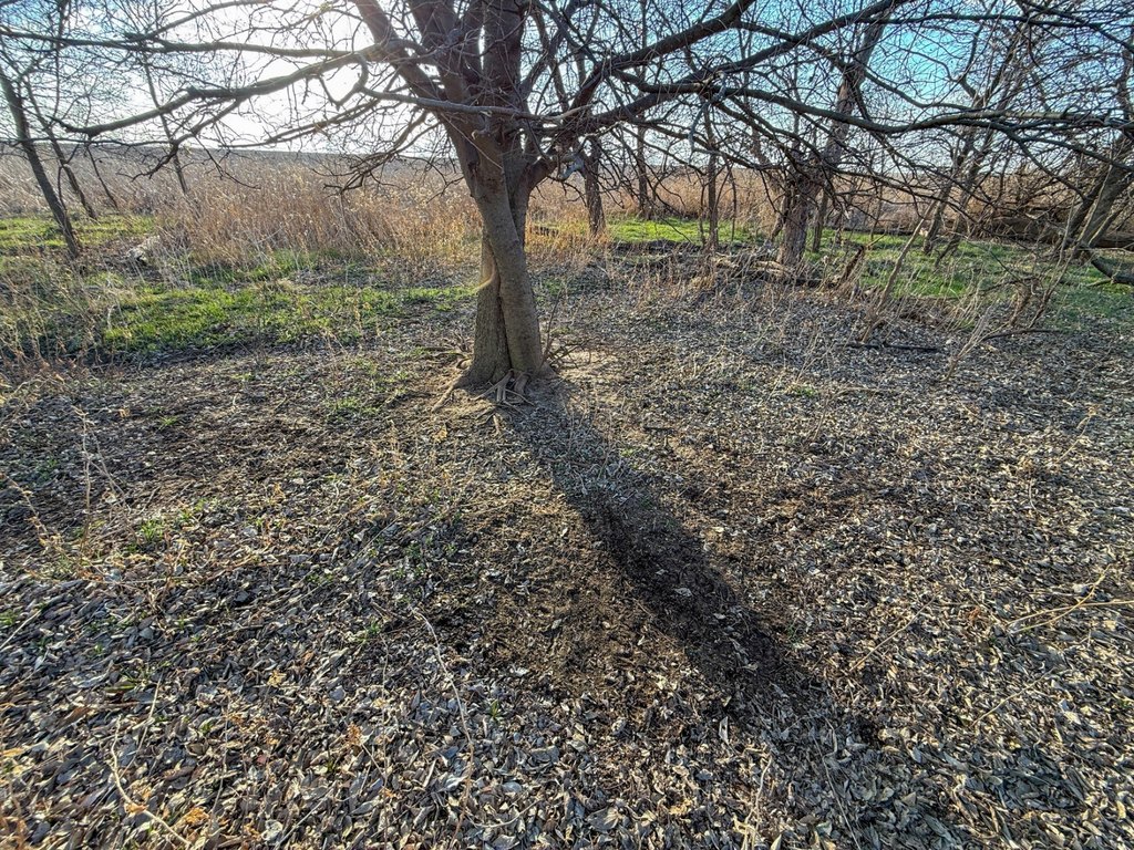 Picture 18