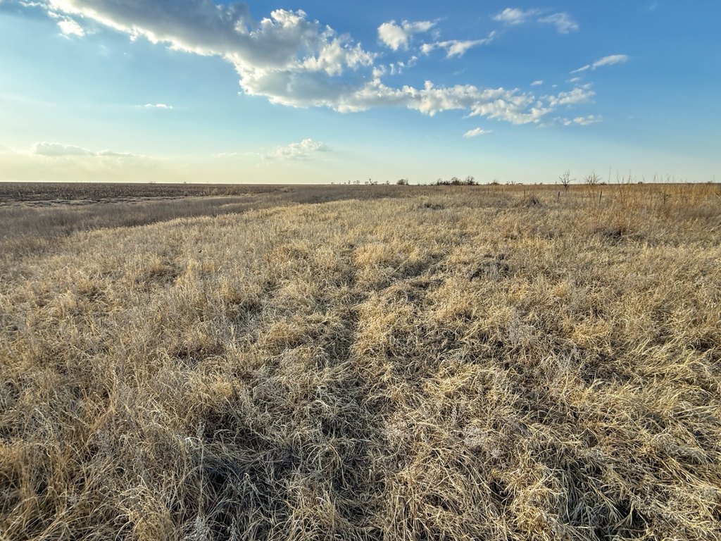 Picture 29