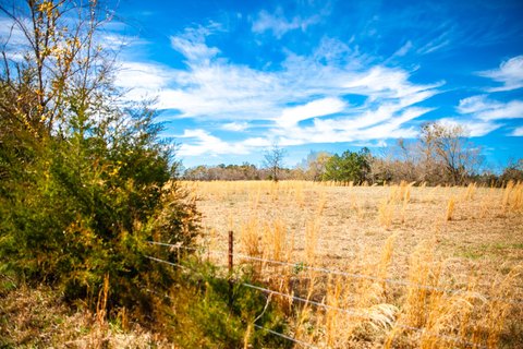 Appling, GA Land For Sale