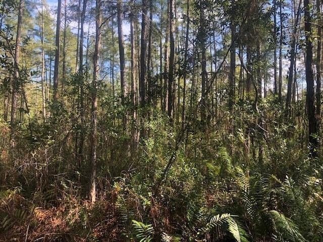 Polk City Acreage For Sale