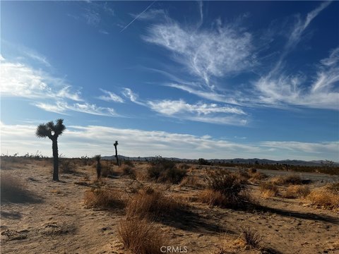 20 Acre Lot Near Route 395