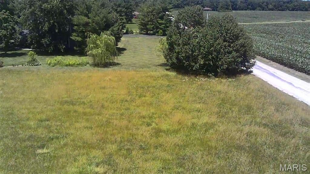 Picture 6