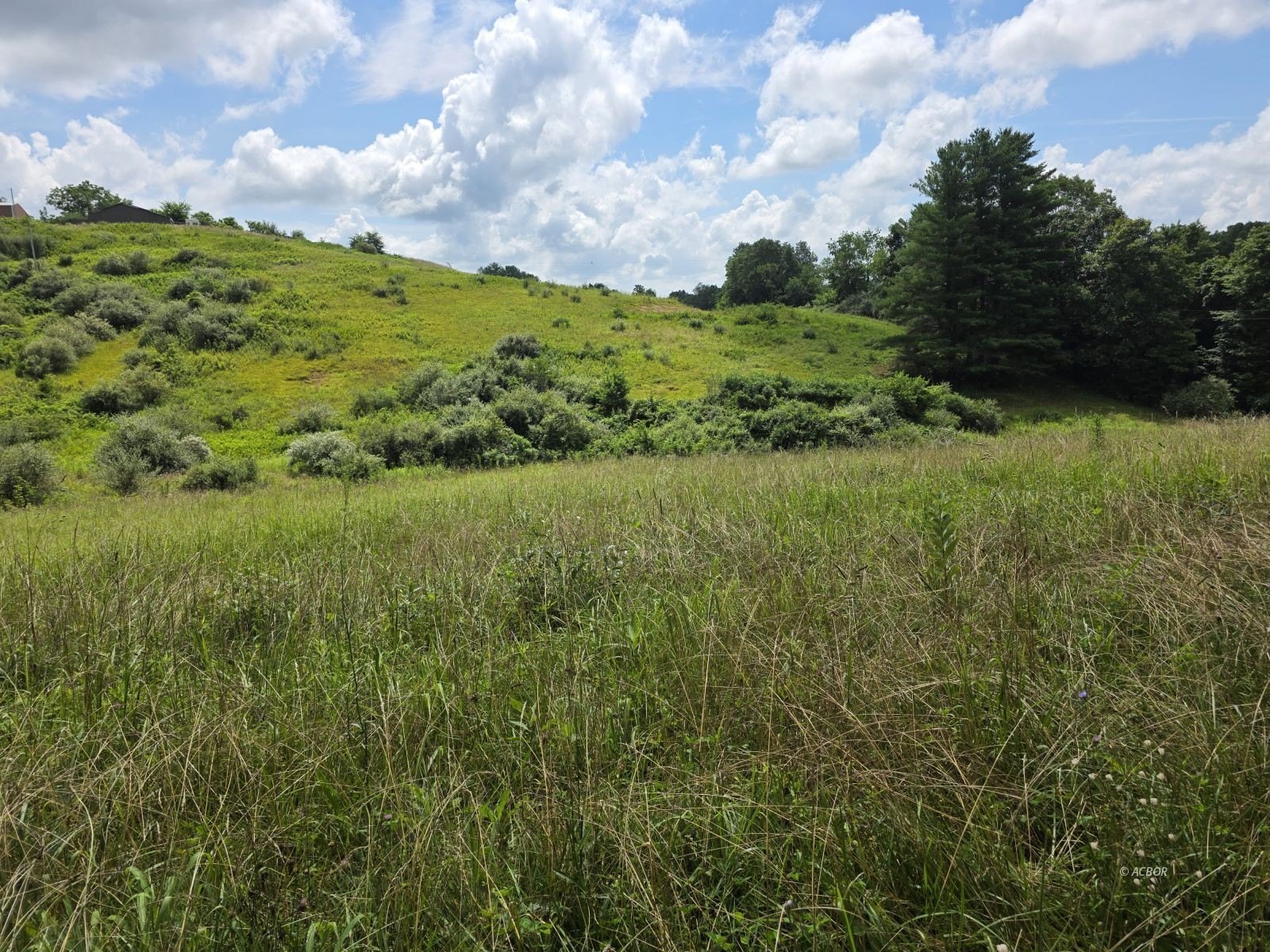 Land in Rural Meigs County