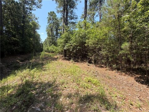 Land, Bush, LA
