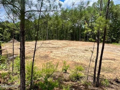 LAND - Mendenhall, MS