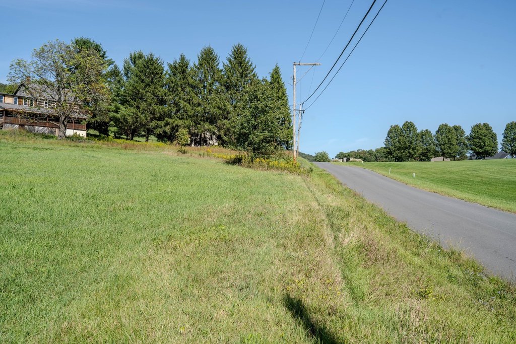 Picture 7