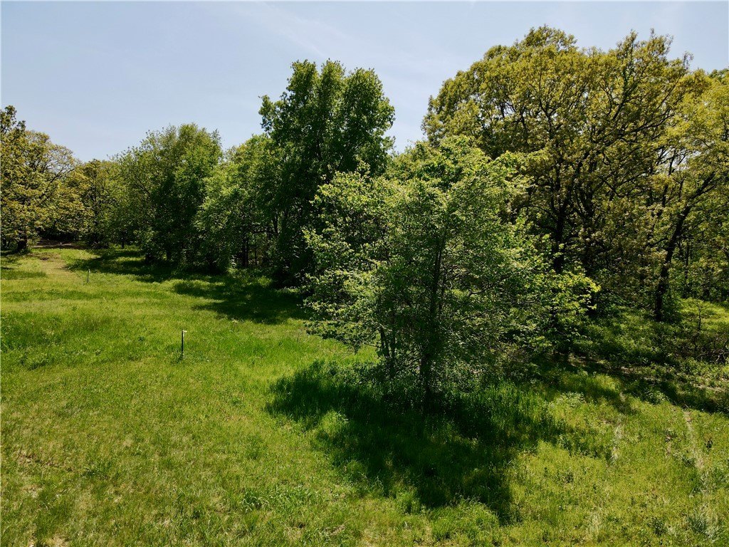 Picture 30