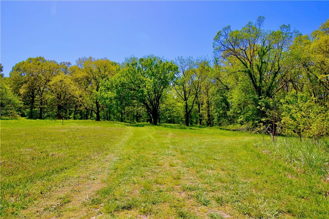 Prime Acreage in Berryville, AR