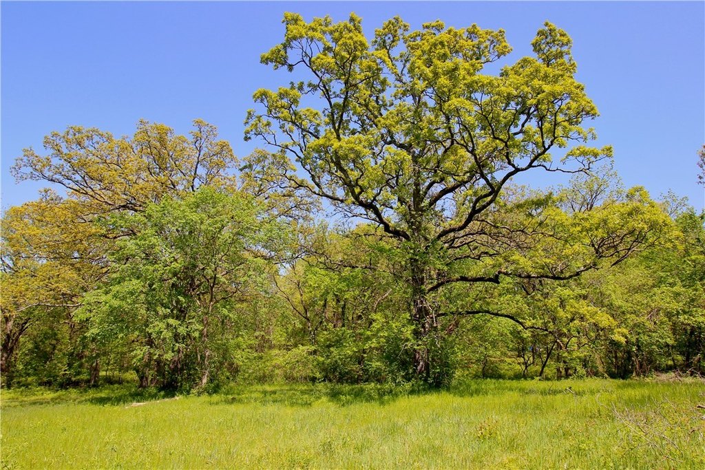 Picture 22