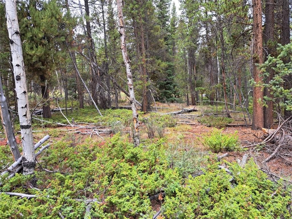 Picture 24