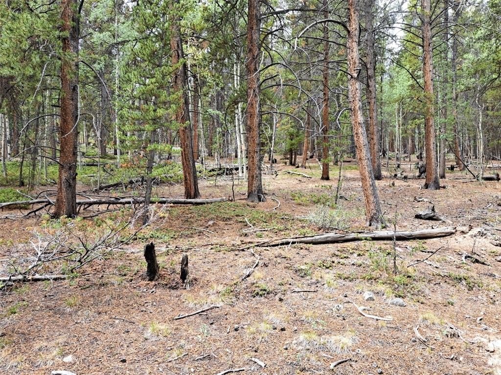 Picture 8