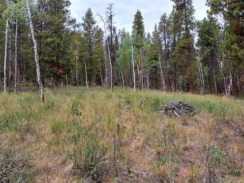 LAND - FAIRPLAY, CO