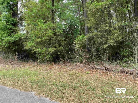 Residential Lots in East Brewton