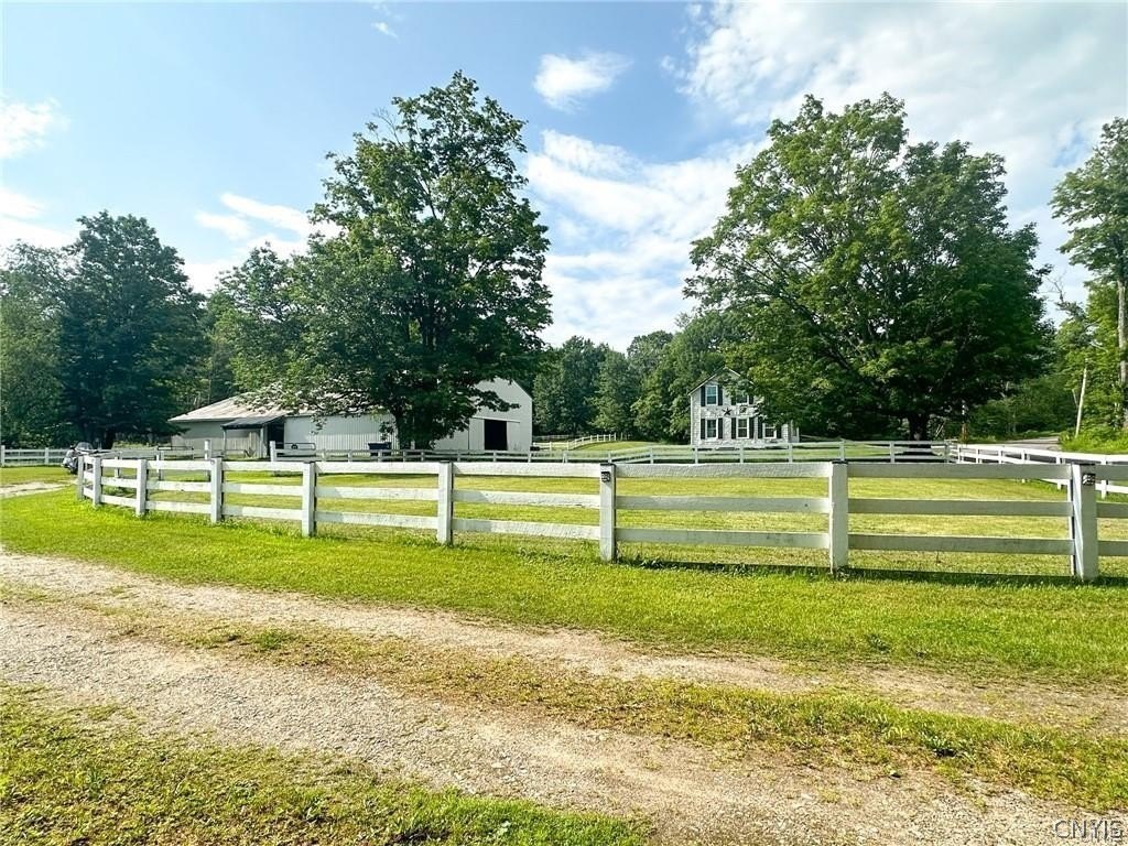 Picture 6