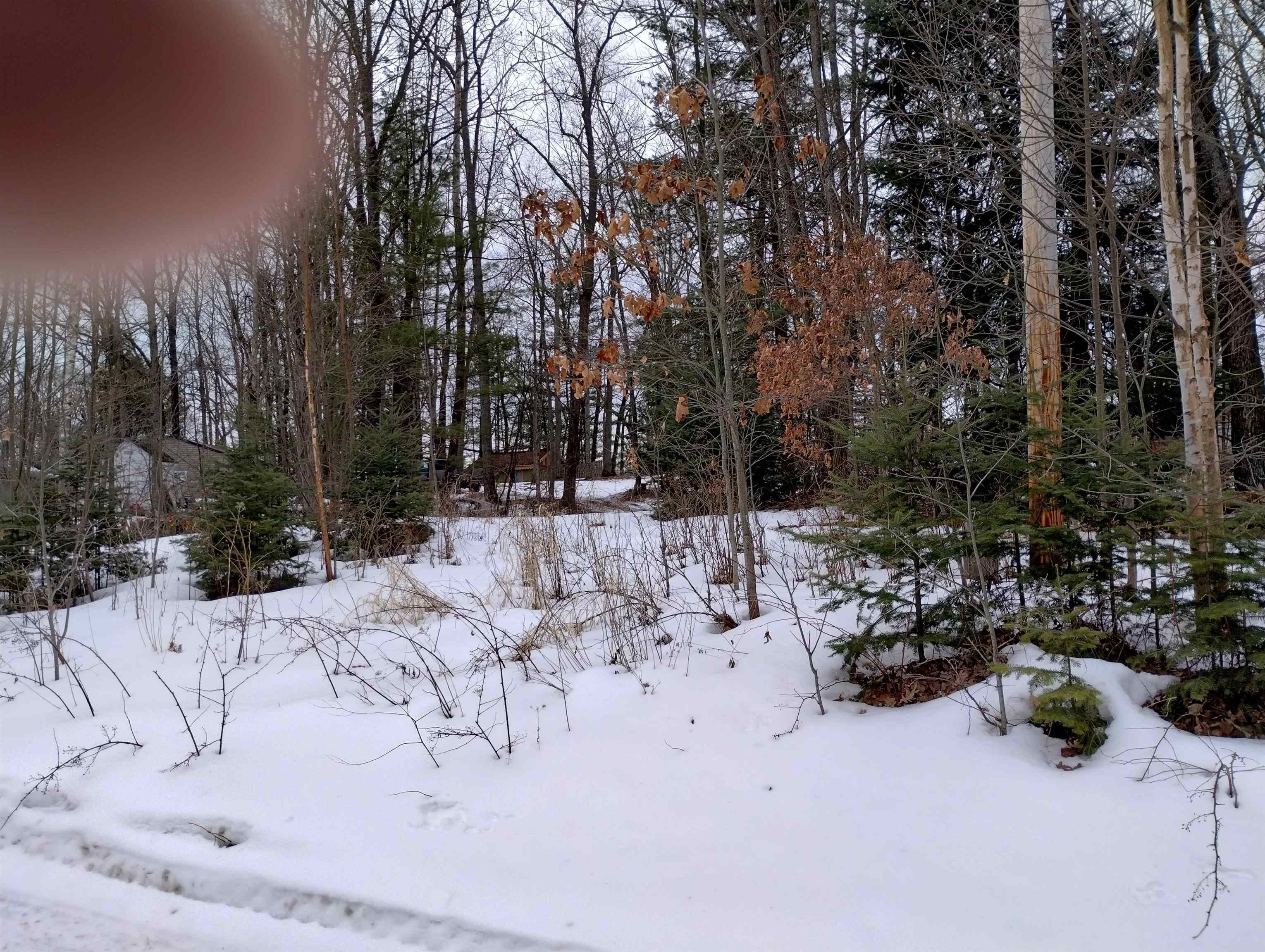 Vacant Land Near Bertha Lake