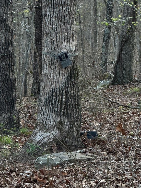 Picture 5