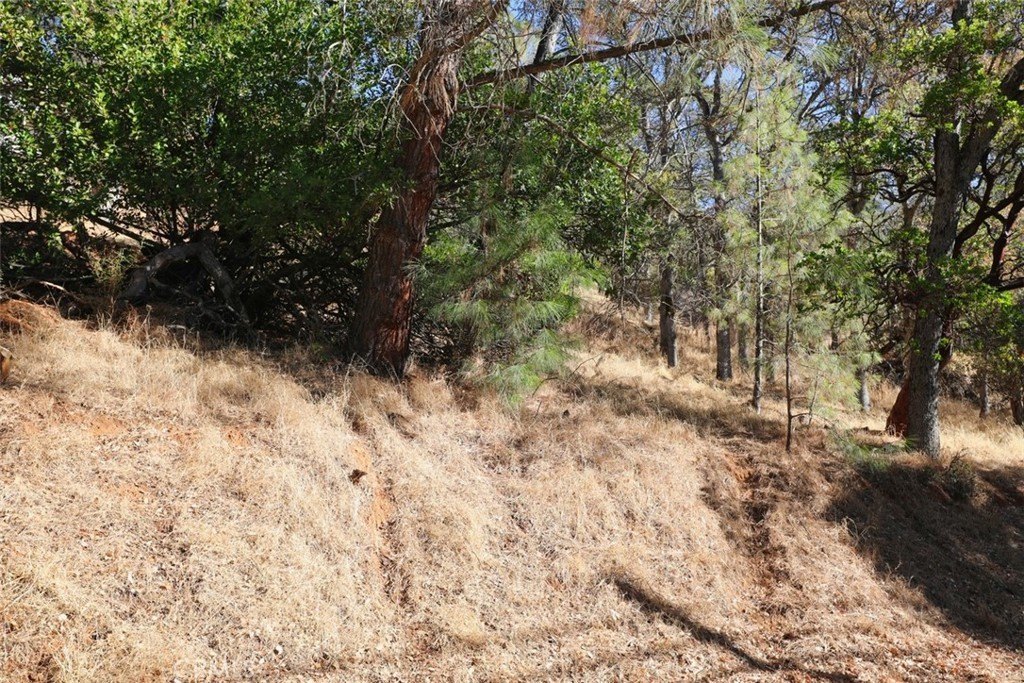 Picture 17