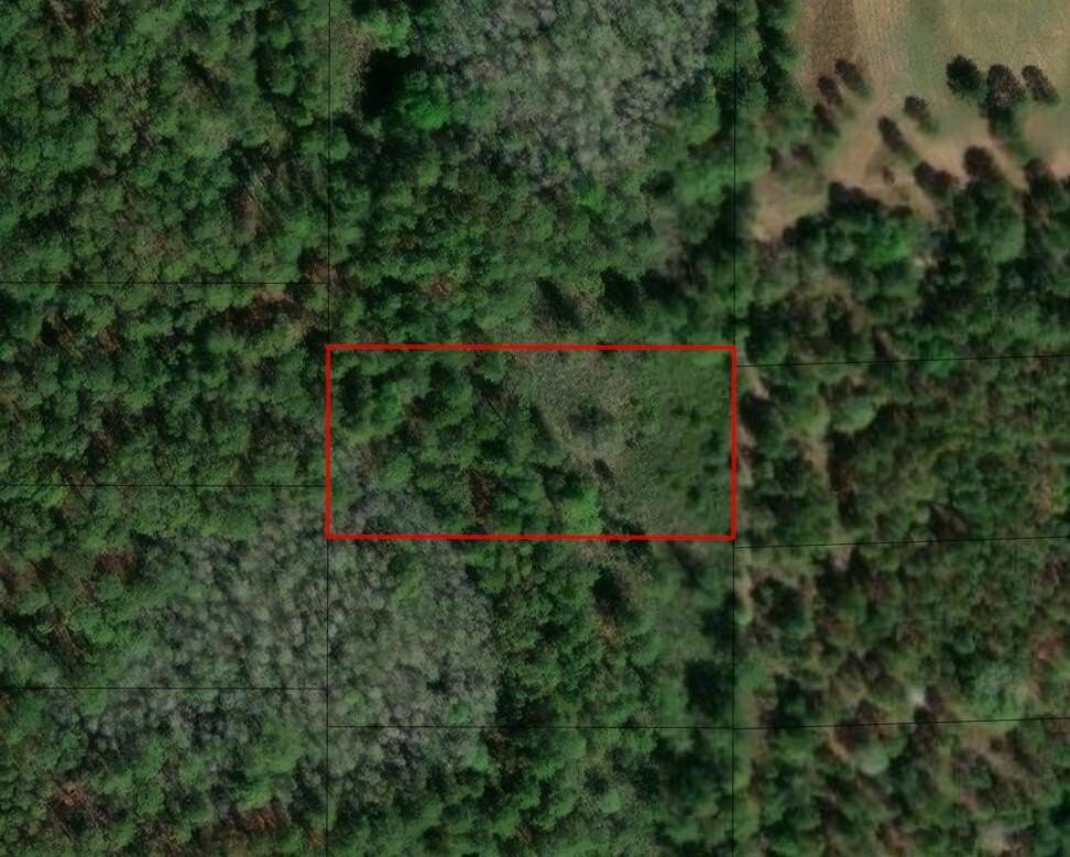 Acre of Land in Florida