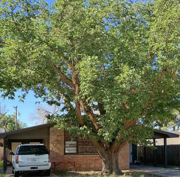 Lubbock Duplex Near Universities