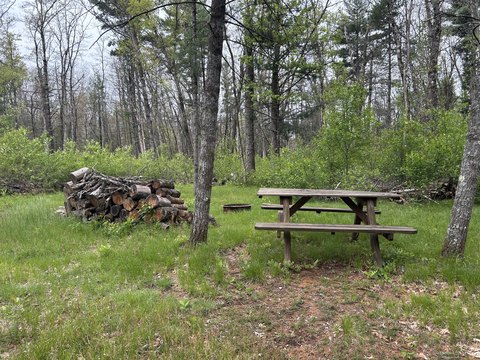 Land in Baldwin, Michigan