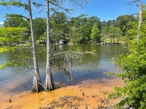 LAND - Florien, LA