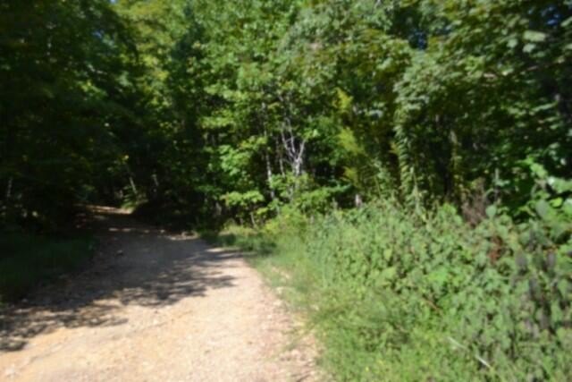 Picture 35
