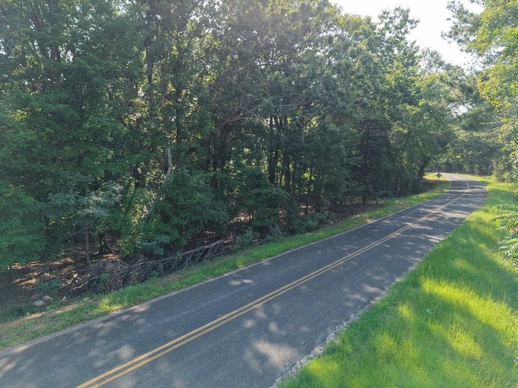 Picture 14