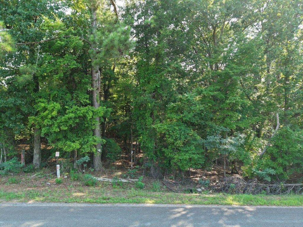 Picture 13