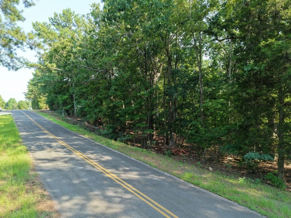 Picture 12
