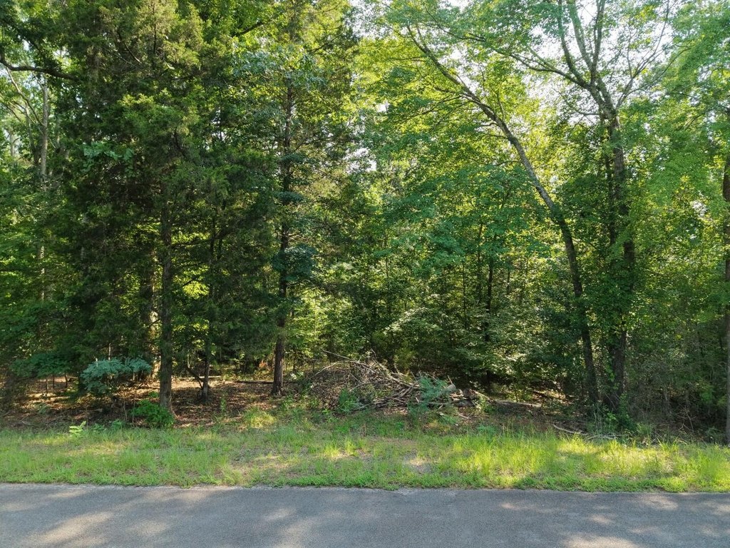 Picture 11