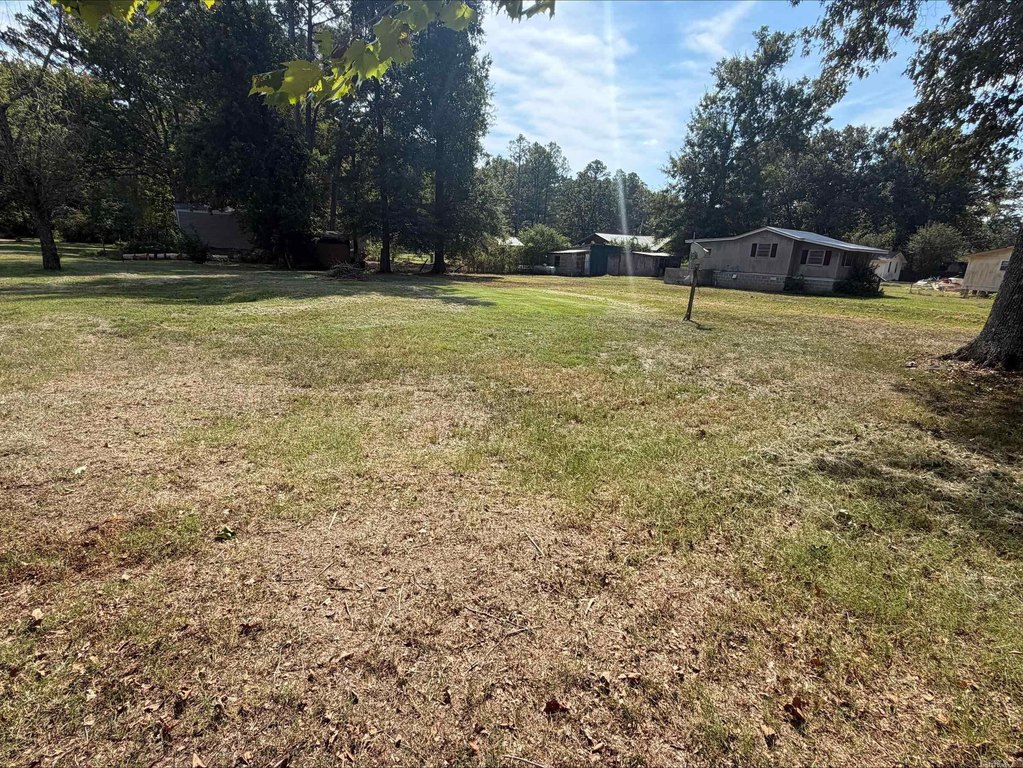 Picture 6