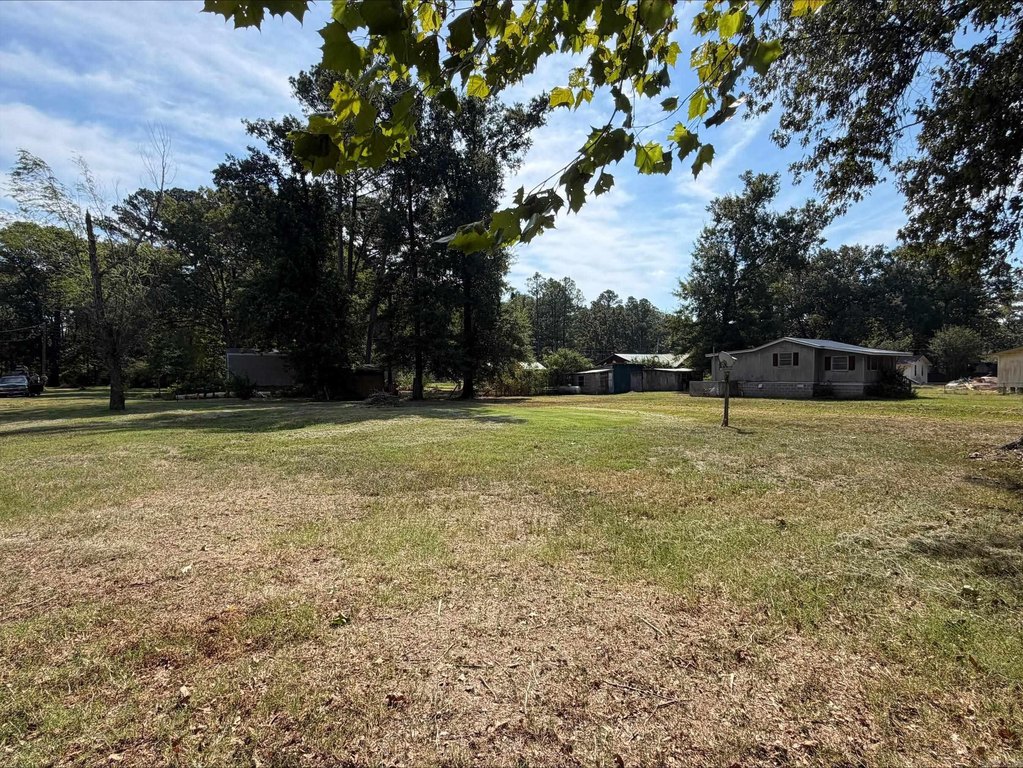 Picture 5
