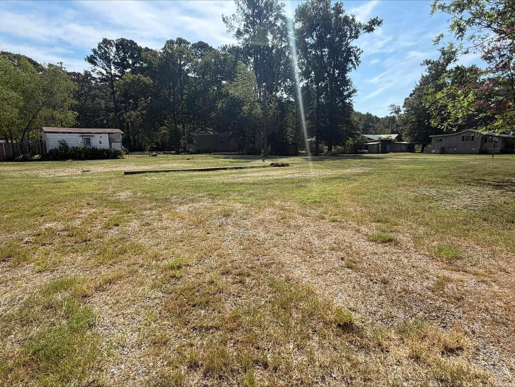 Picture 2